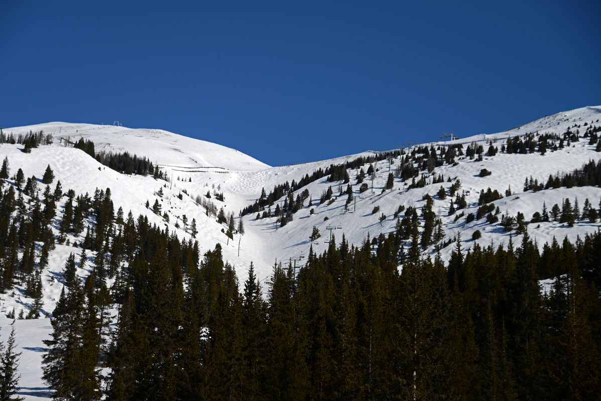 19A Looking Up At Whitehorn Mountain And Top Of The World Chairlift At Lake Louise Ski Area